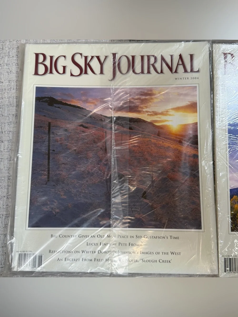 Vintage big sky